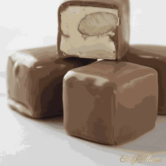 Sally Williams Nougat Almond 50g Bar with roasted almonds and honey nougat