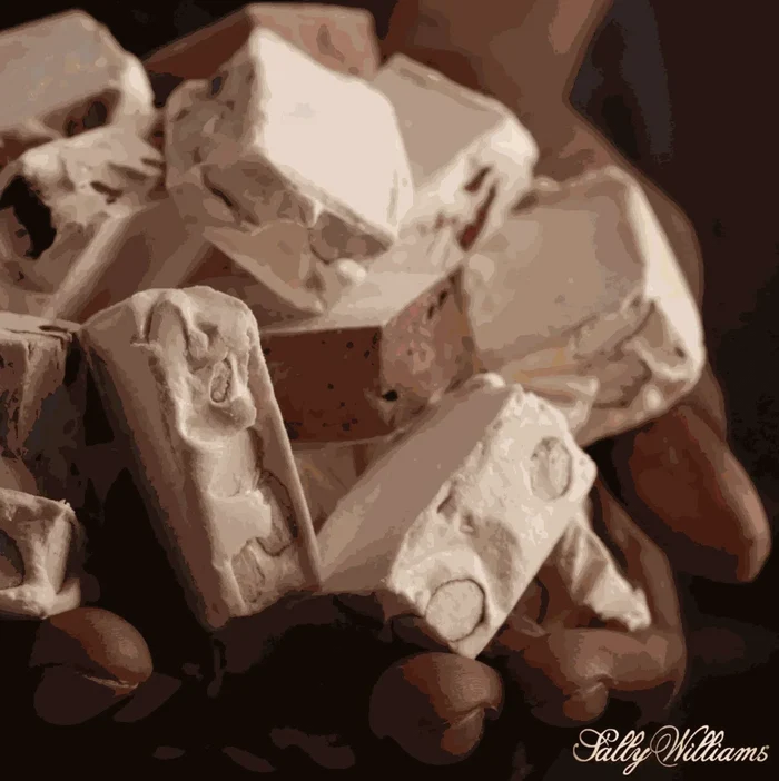 Sally Williams Nougat Almond 50g Bar with roasted nuts and honey nougat