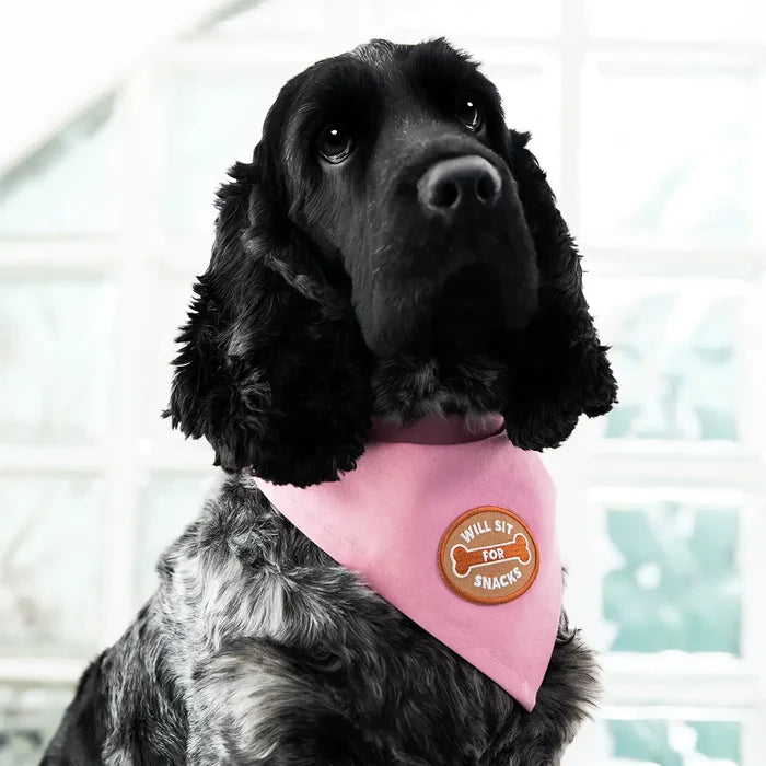 Black and gray dog in pink Scout’s Honour bandana with Will Sit For Snacks patch, cute pet obedience accessory.