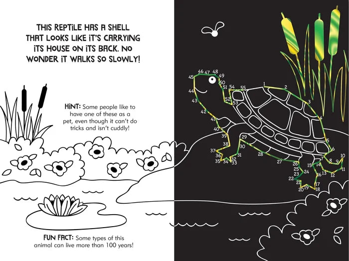 Scratch & Sketch Dot to Dot Animal