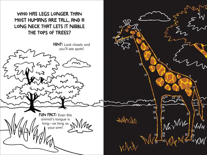 Scratch & Sketch Dot to Dot Animal