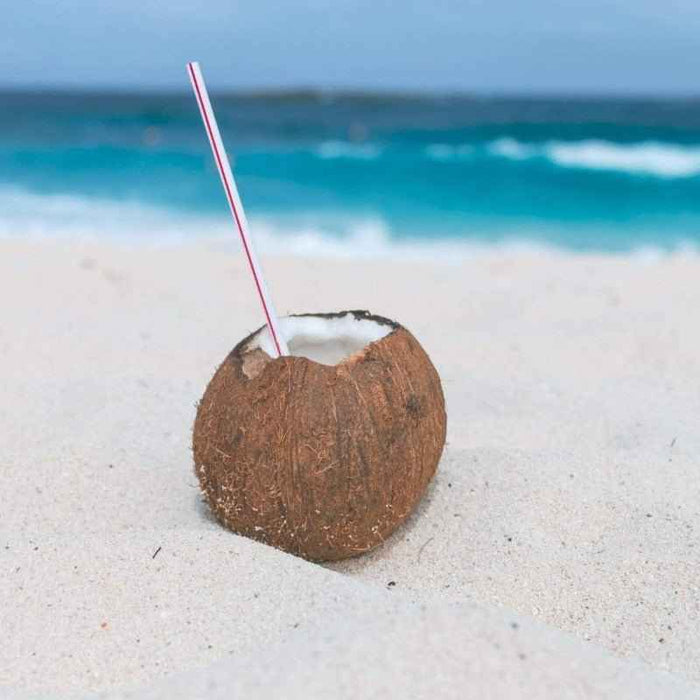 Sea Salt & Coconut - 1oz Sample