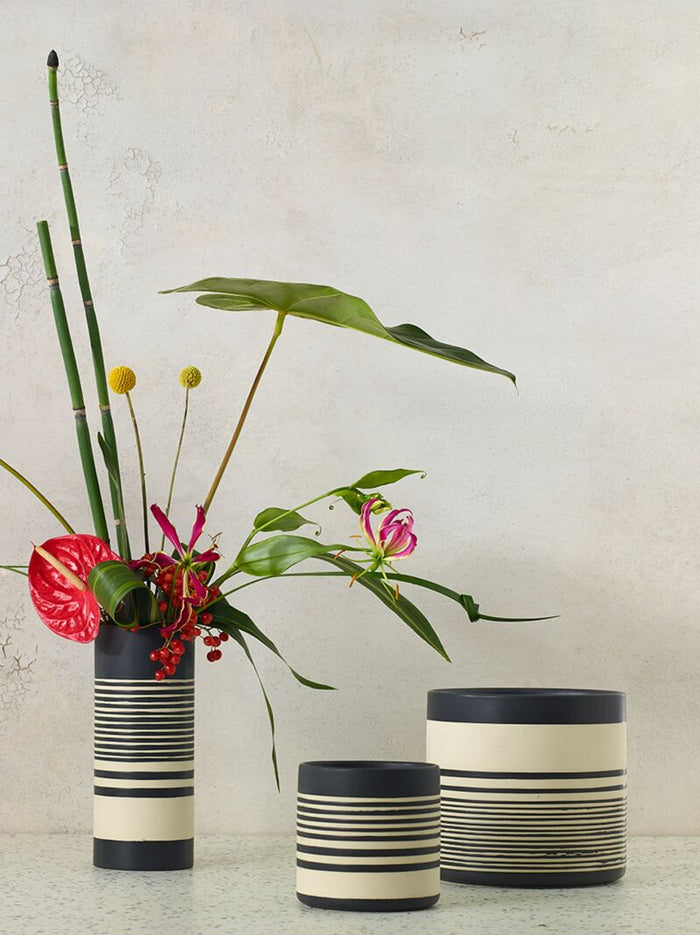 Striped Ceramics