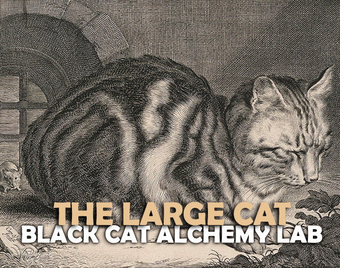 The Large Cat Perfume Oil