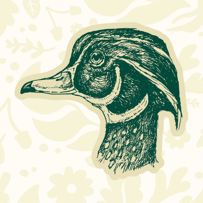 Forager Provisions LTD vinyl sticker featuring a detailed green hand-drawn duck head illustration on a cream background