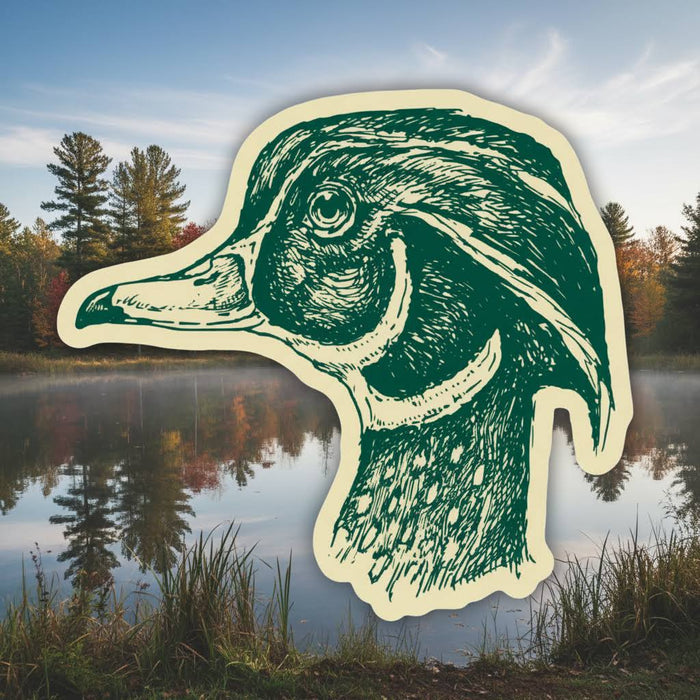 Forager Provisions LTD vinyl sticker featuring a detailed green hand-drawn duck head illustration on a lake background