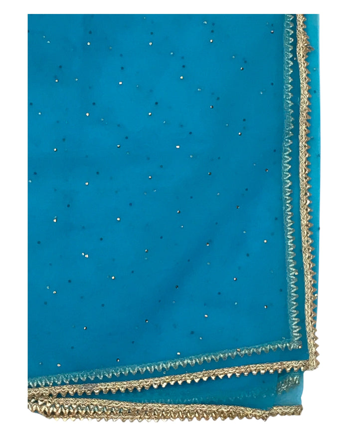 Turquoise - Ladies Net Dupatta with Gold Lace Border  & Diamante - Mix N Match -  VC2501 T0125