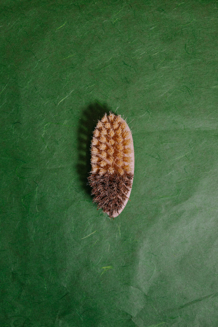 Vegetable Brush