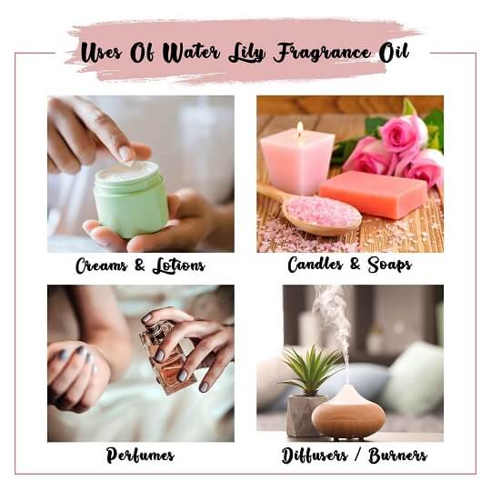 Water lily Fragrance Oil Uses