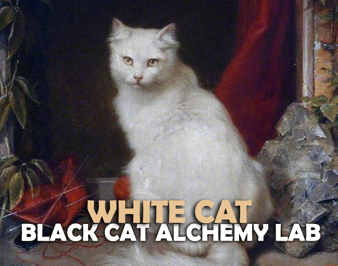 White cat in a classical painting setting with text overlay 'White Cat Black Cat Alchemy Lab'.