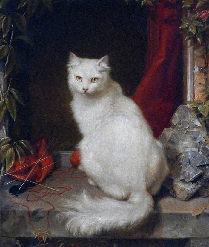 this image is decorative